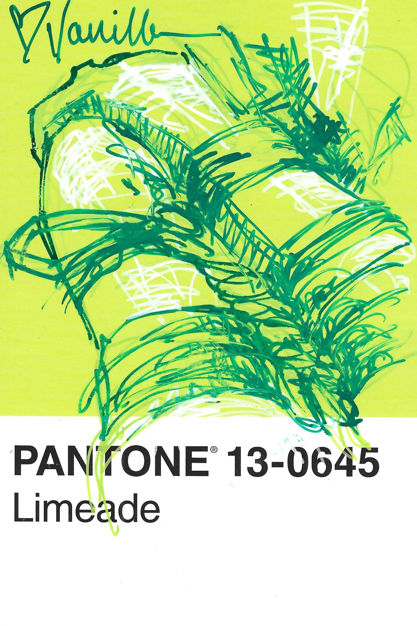 Asst. Scribble Sketch Studies