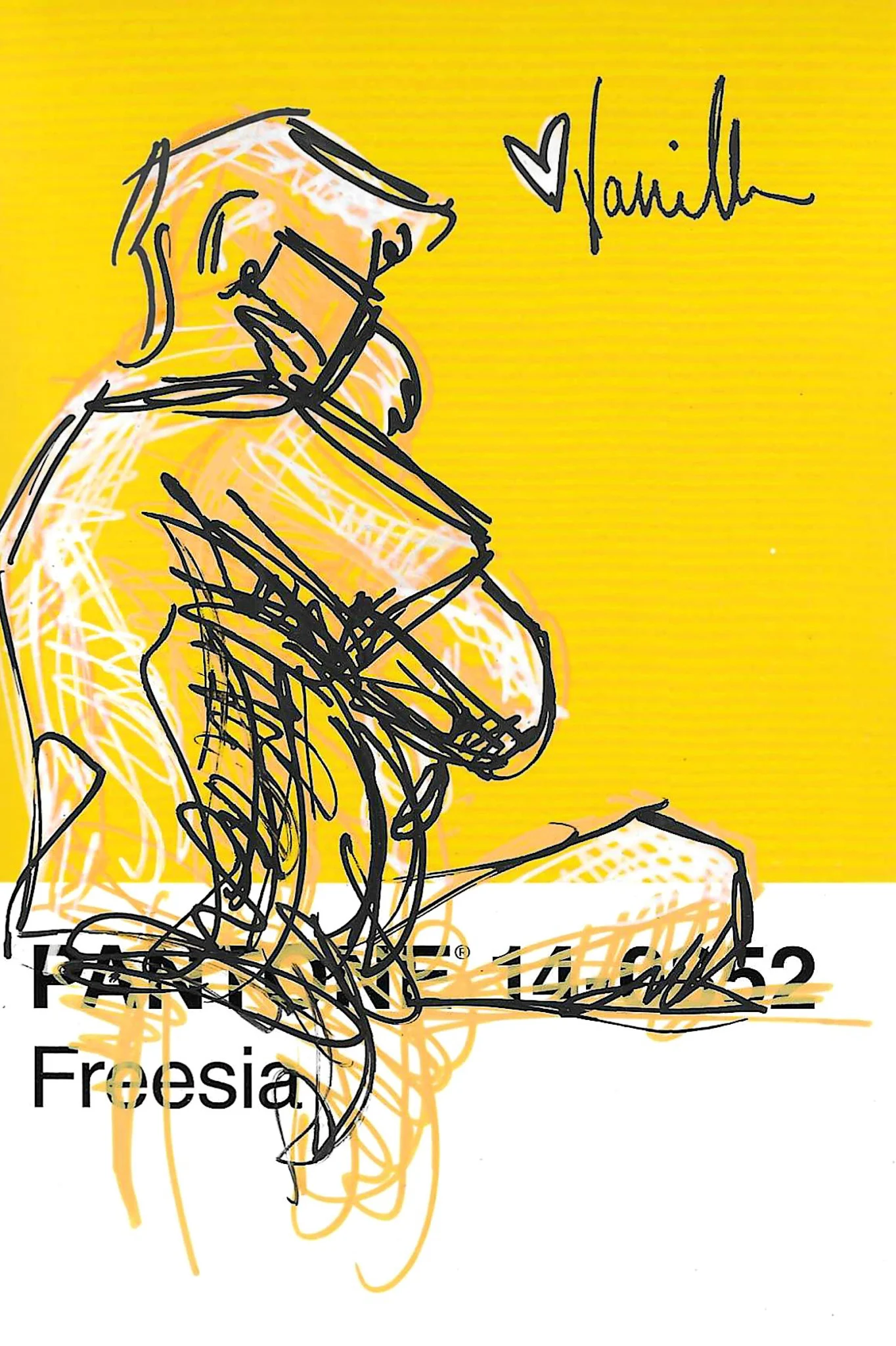 Asst. Scribble Sketch Studies