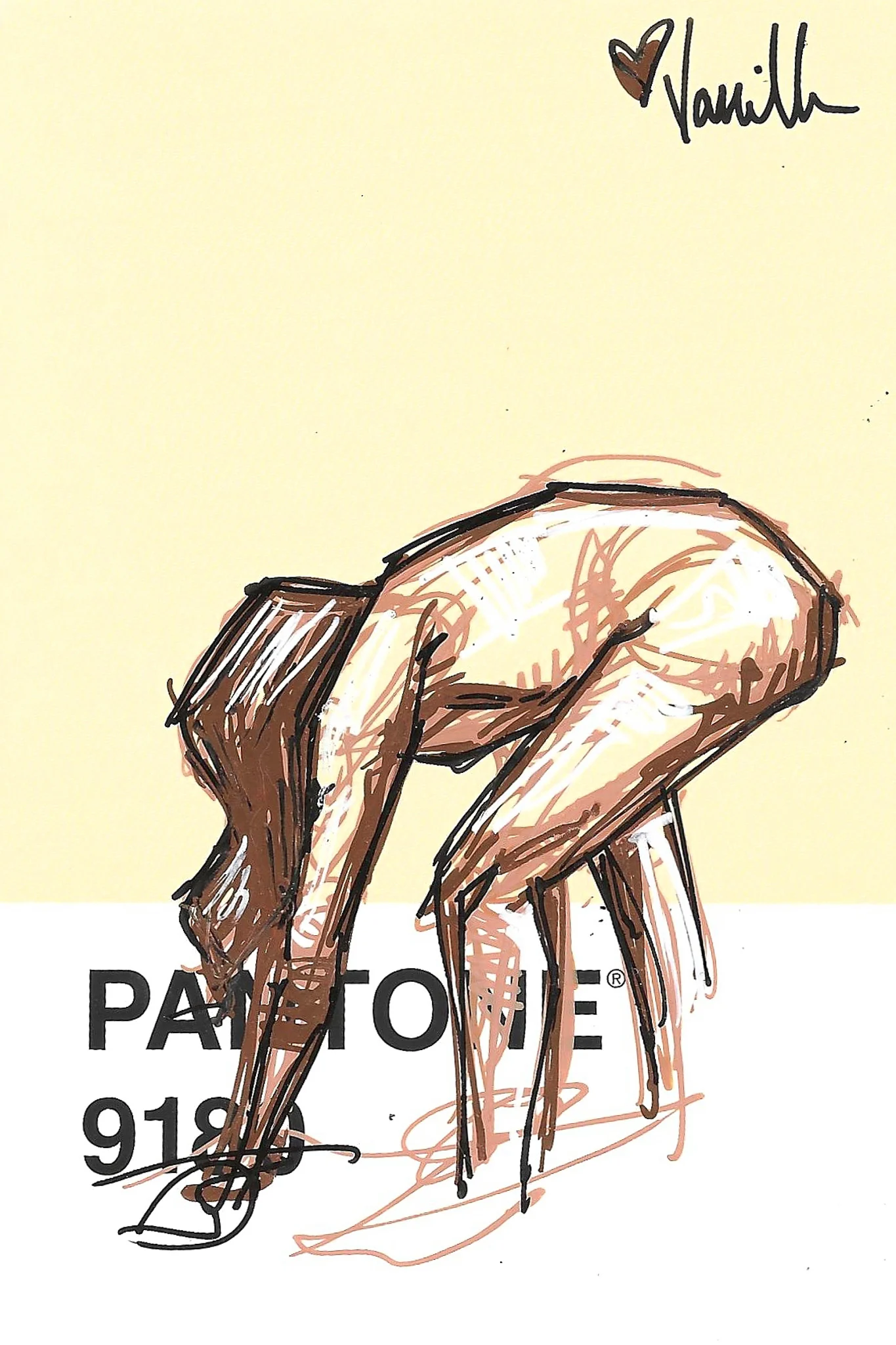 Asst. Scribble Sketch Studies