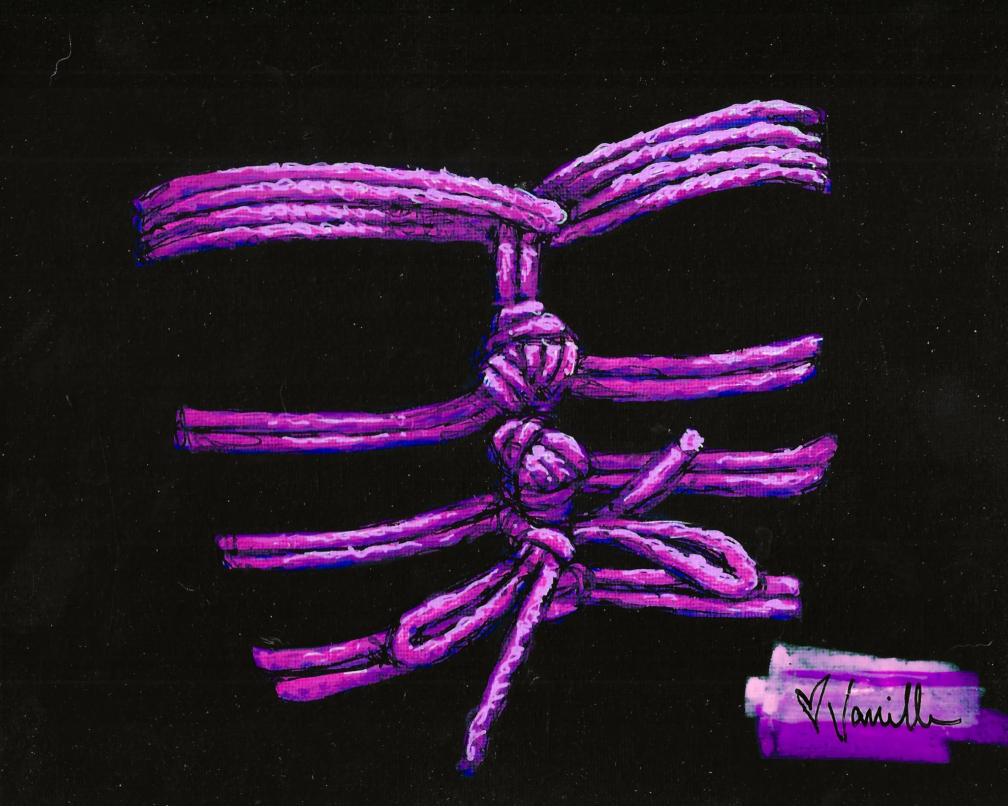 Chest Harness (Practice)