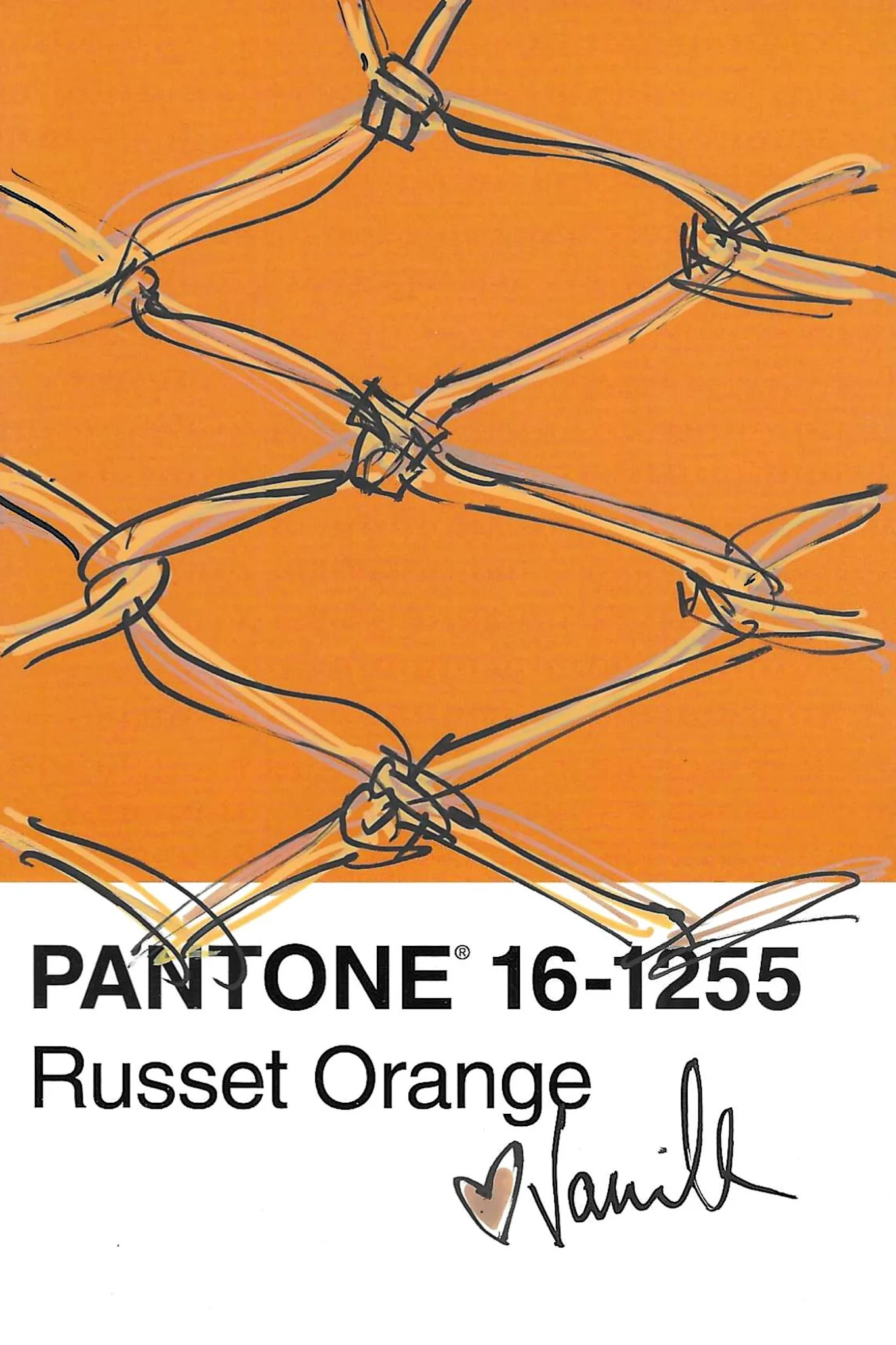 Asst. Scribble Sketch Studies