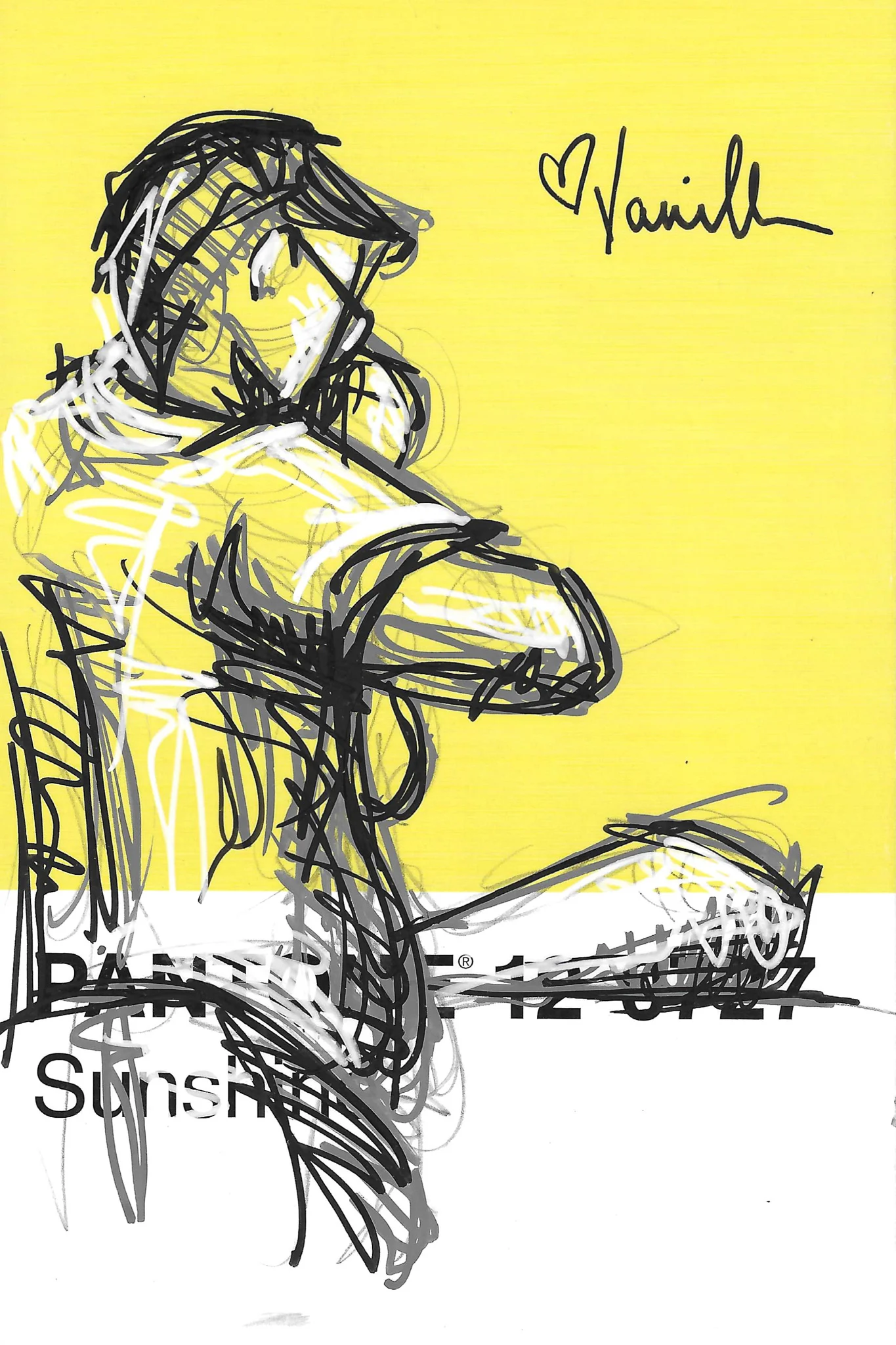 Asst. Scribble Sketch Studies