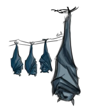 Digital Download - Drawing (Commercial License)