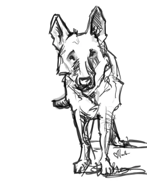 Digital Download - Commercial License