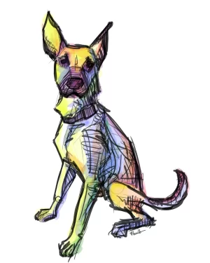 Digital Download - Commercial License