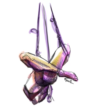 Digital Download - Commercial License