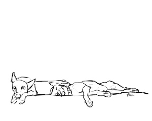 Digital Download - Commercial License