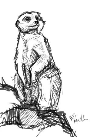 Digital Download - Commercial License