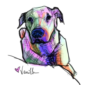 Digital Download - Commercial License