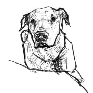 Digital Download - Commercial License