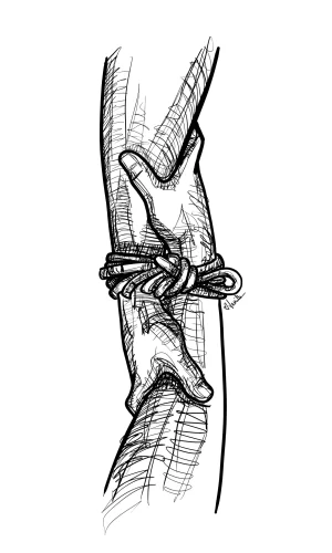 Digital Download - Commercial License