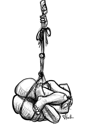 Digital Download - Commercial License