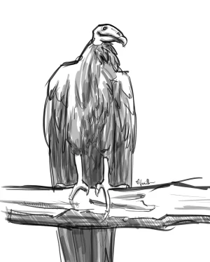 Digital Download - Commercial License