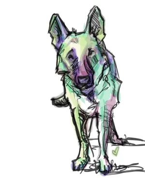 Digital Download - Commercial License