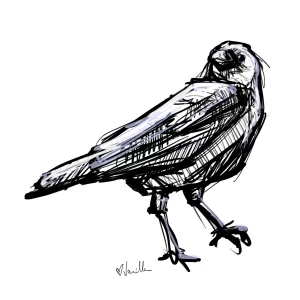 Digital Download - Commercial License