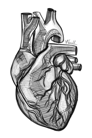 Digital Download - Commercial License