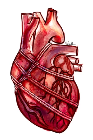 Digital Download - Commercial License