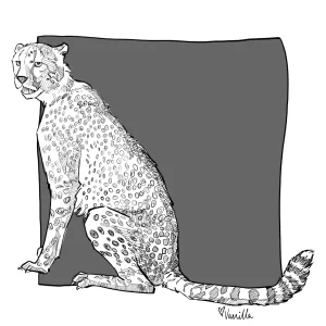 Digital Download - Commercial License