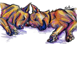 Digital Download - Commercial License