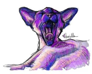 Digital Download - Commercial License