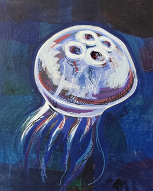 Moon Jelly