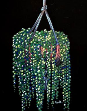 String of Pearls